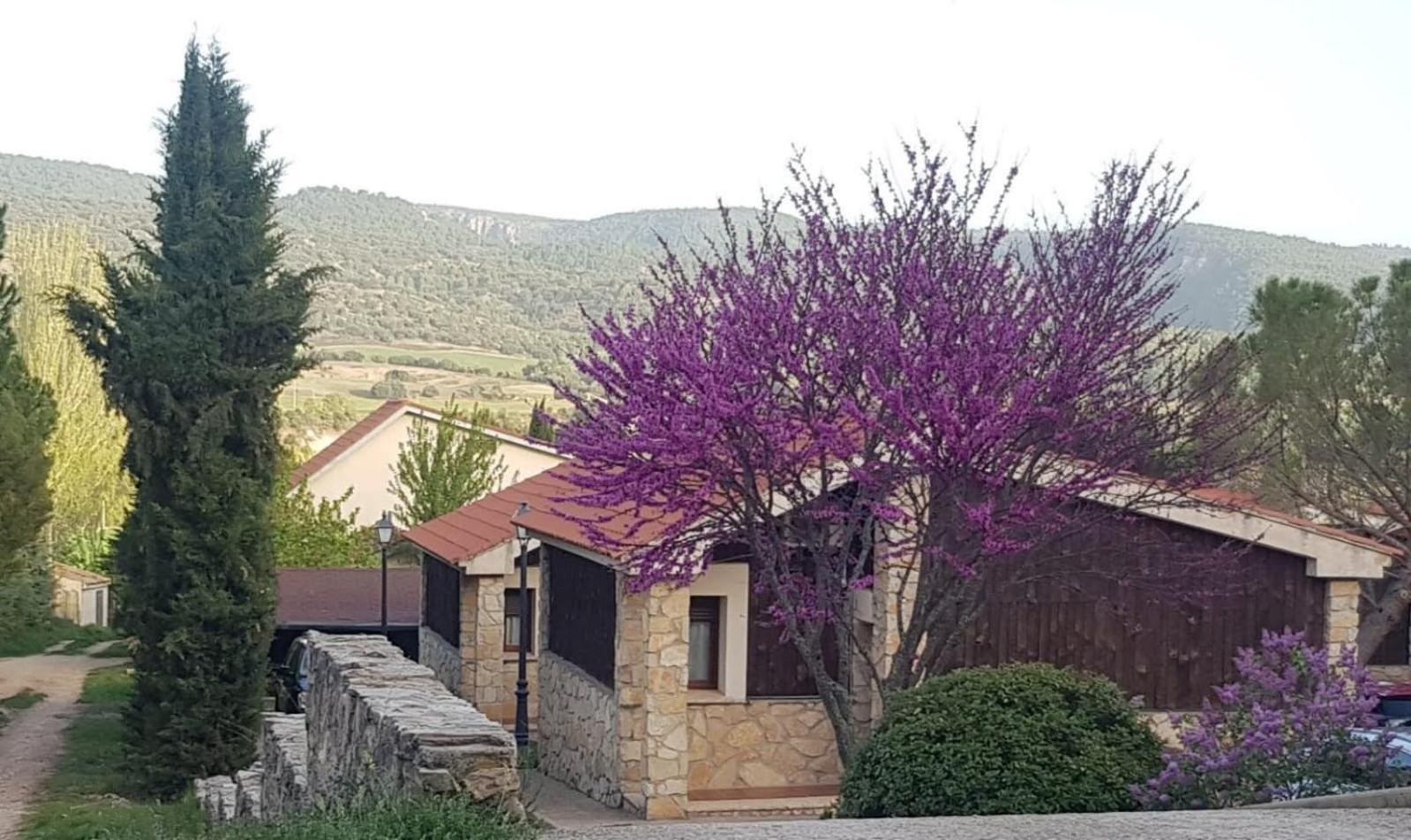 Aventura & Relax Cabanas Pena La Higuera Villalba de la Sierra Buitenkant foto